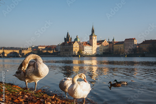 Old Town reflected in the River Vltava shot from Strelecky Ostrov Island Prague at sunrise