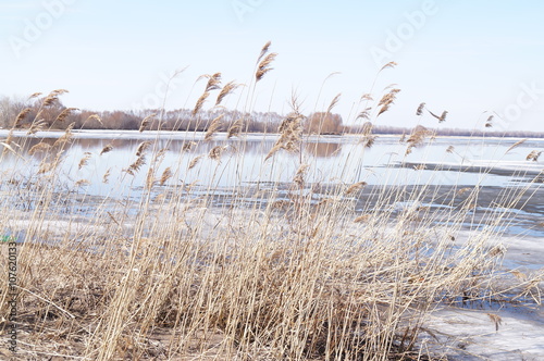 Fotografie Debacle, ice drift on the river