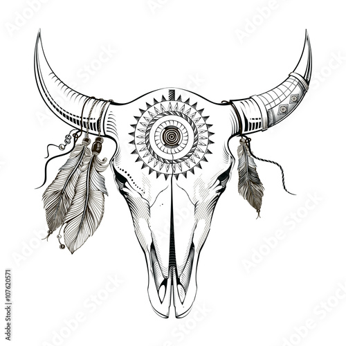 Bull skull