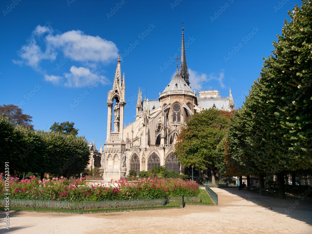 Notre Dame from Square du Jean XXIII, Paris. Full lenght view.