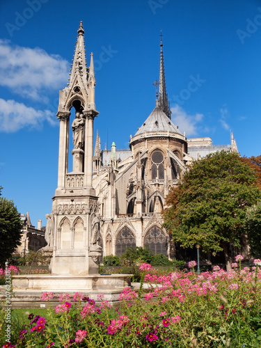 Notre Dame from Square du Jean XXIII, Paris. Vertical shot, full length, flowers on foreground
