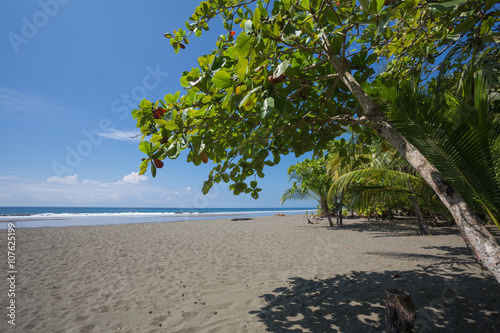 The wild tropical beach in Caribbean island