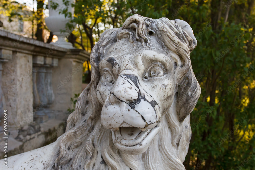 The head is an original Sculpture of the lion on the left side of the upper landing of the Great staircase of the Pavlovsk Park, St. Petersburg.  Historical site under UNESCO protection.