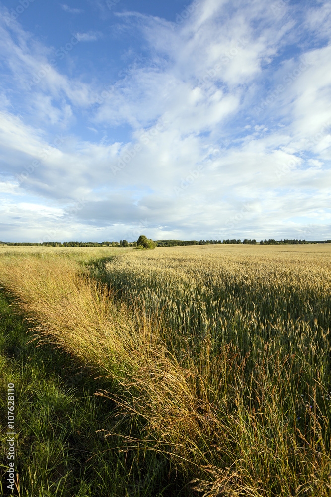 border agricultural fields  