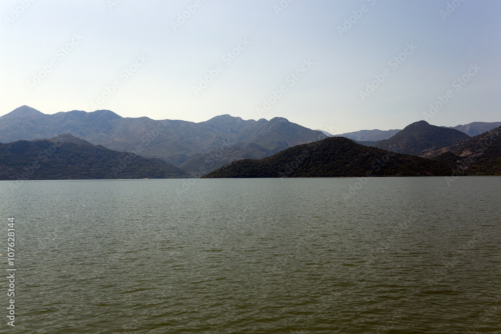 Skadar Lake ,  Montenegro.
