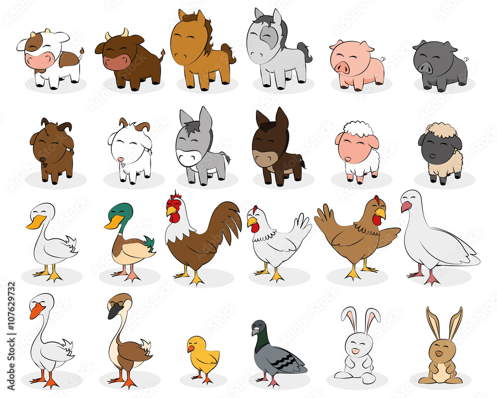 Fototapeta premium Farm animals