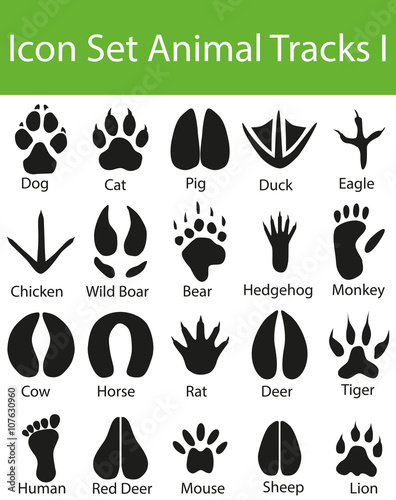 Icon Set Animal Tracks I