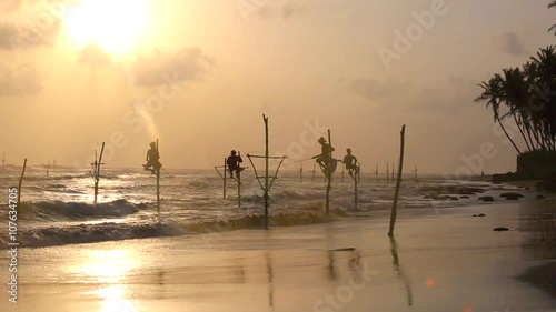 Sri Lanka stilt fisherman at sunset photo