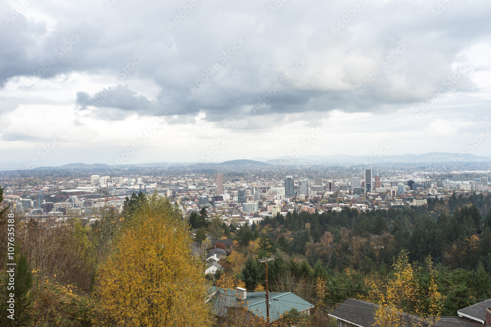cityscape and skyline of portland on view from forest