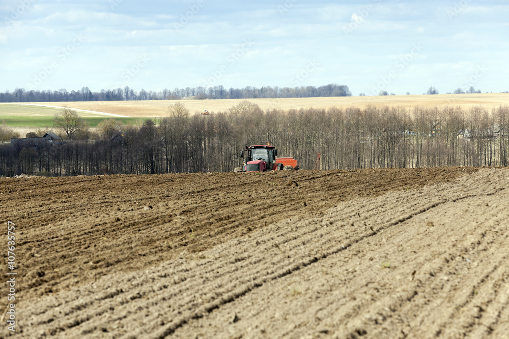 Fototapeta premium agricultural field with cereal 