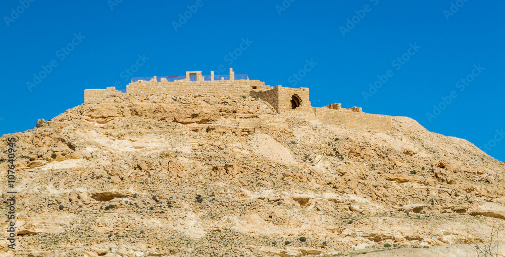 The desert landscape, Avdat, Nabatean Town in Negev Desert, Israel