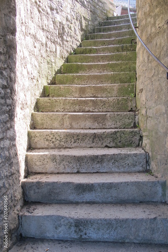 Treppe am Alten Kranen, Würzburg