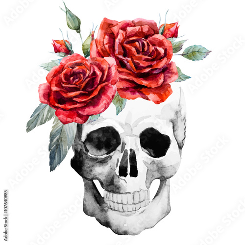 Watercolor hand drawn skull with roses
