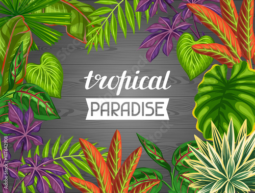 Tropical paradise card with stylized plants and leaves. Image for advertising booklets, banners, flayers © incomible