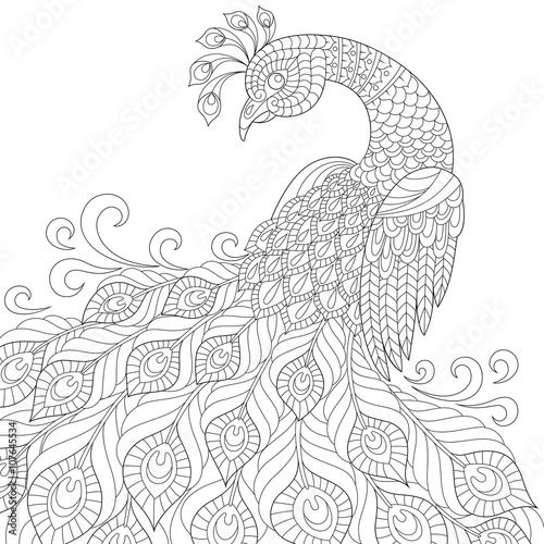 Decorative peacock. Adult anti-stress coloring page. Black and white hand drawn doodle for coloring book