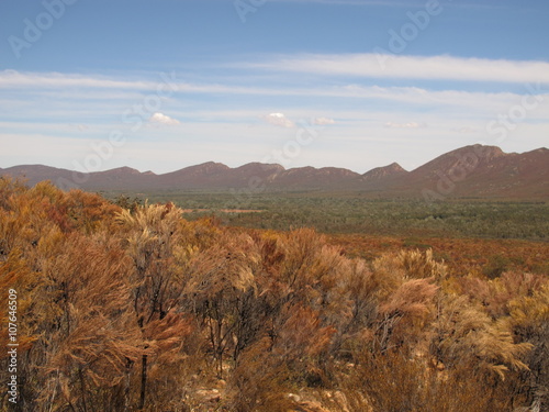 flinders ranges, south australia
 photo