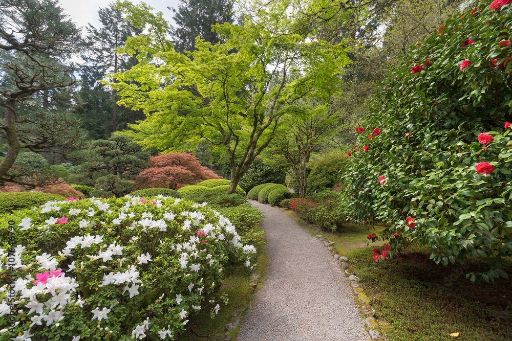 Japanese Garden Path in Spring