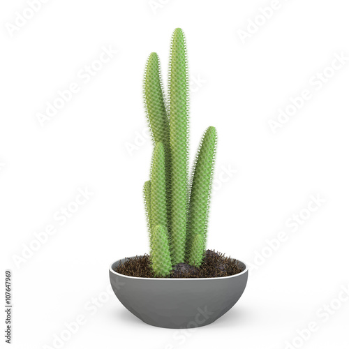 Cleistocactus flavispinus - houseplants cactus in earthenware pot, isolated on white background. 3D Rendering, 3D Illustration. photo
