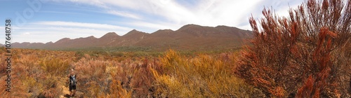 flinders ranges, south australia 