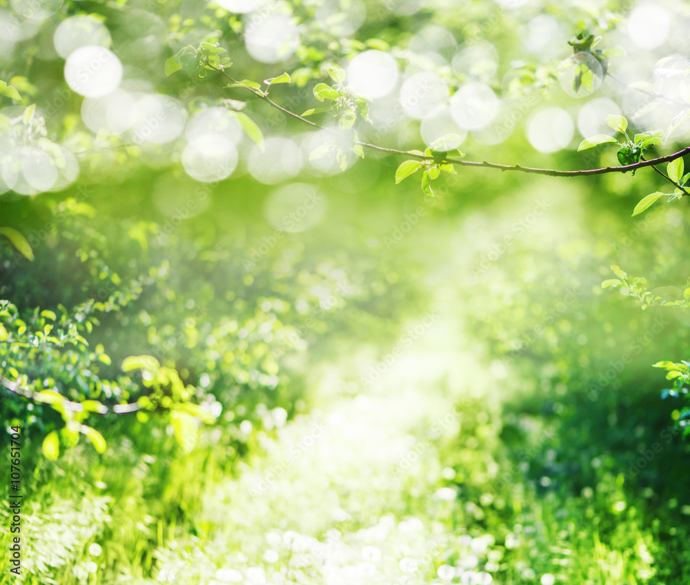 grass background grass background