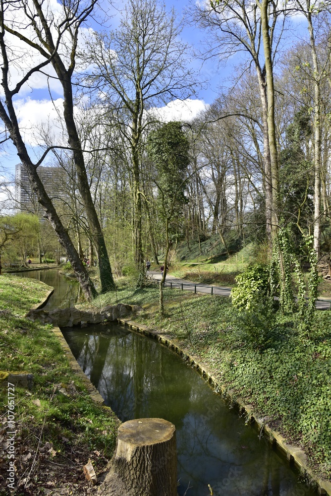 L'imitation ruisseau le long d'un chemin entouré de végétation luxuriante au printemps au parc Josaphat à Schaerbeek L'imitation ruisseau le long d'un chemin entouré de végétation luxuriante au printemps au parc Josaphat à Schaerbeek