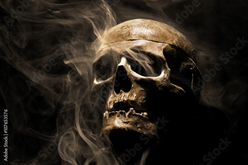 front of real skull in abstract smoke photo