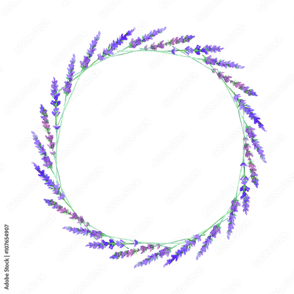Lavanda flowers.Wreath with lavander floral.Circle of hand drawn lavender.Watercolor hand drawn illustration. Lavanda flowers.Wreath with lavander floral.Circle of hand drawn lavender.Watercolor hand drawn illustration.