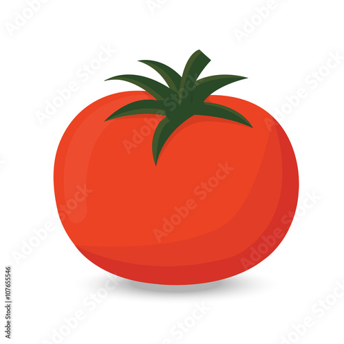 Red ripe tomato vector illustration isolated on white backgroud
