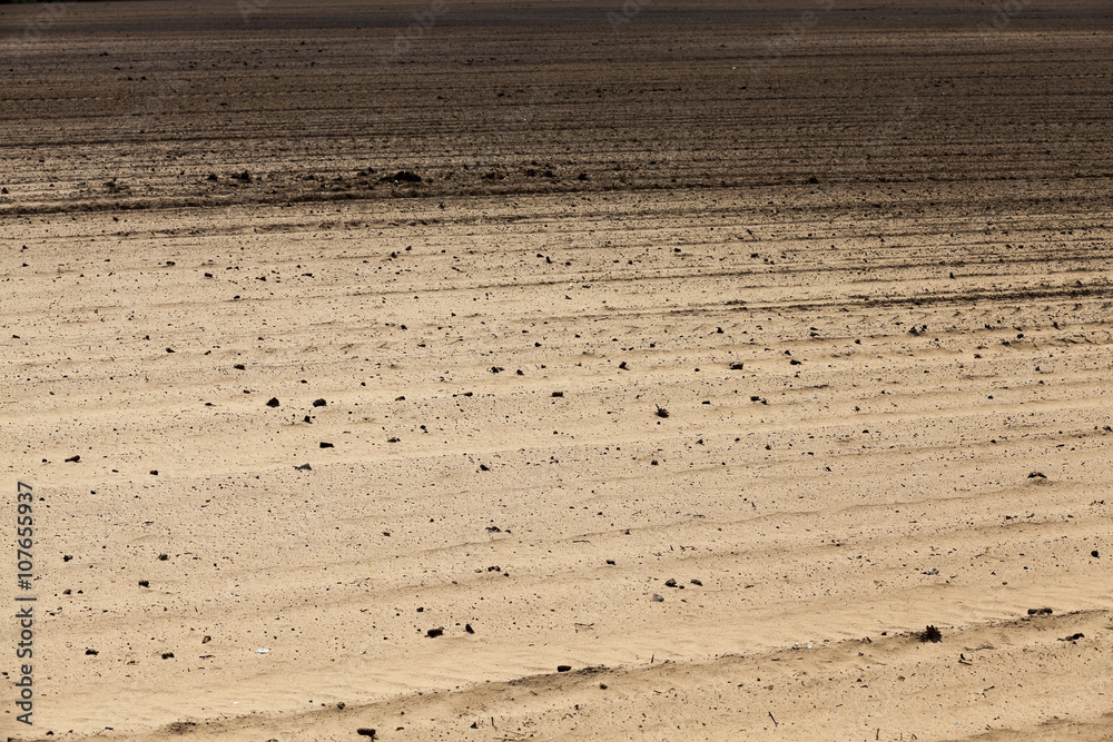 plowed agricultural field  