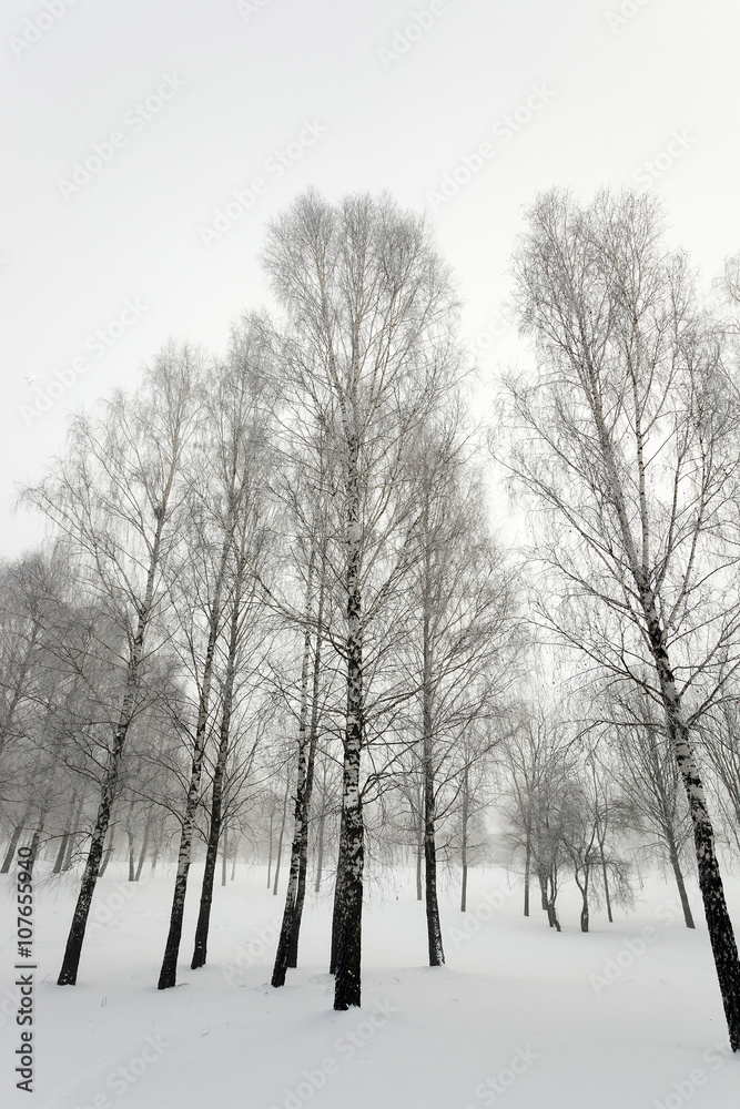 park in winter park in winter