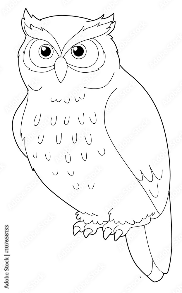 Cartoon animal - owl - isolated - coloring page - illustration for ...