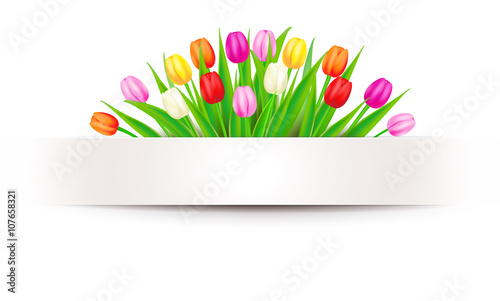 Fototapeta Naklejka Na Ścianę i Meble -  Banner mit bunten Tulpen