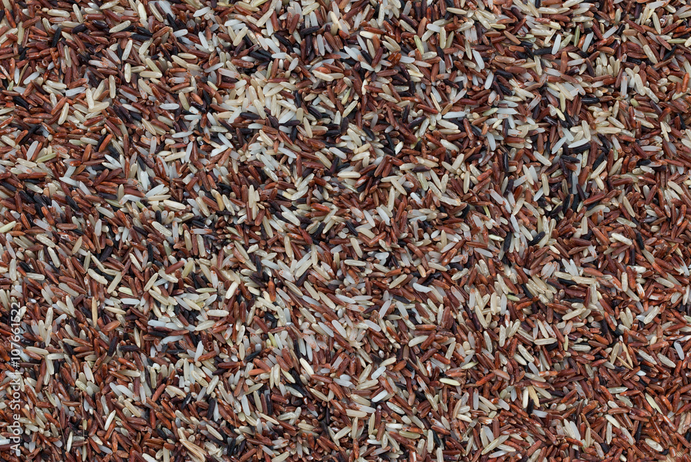 Mix rices : white (jasmine) rice,riceberry and brown rice Mix rices : white (jasmine) rice,riceberry and brown rice