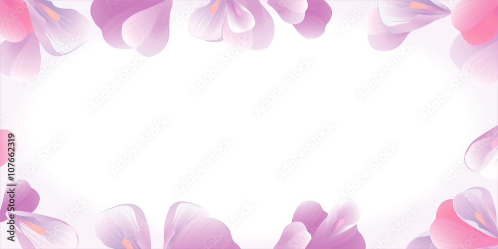 Flowers frame. Pink petals isolated on white. Vector