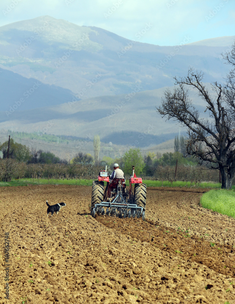 Obraz premium plowing field in spring
