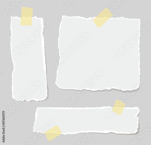 Vector set of torn papers attached sticky tape. 