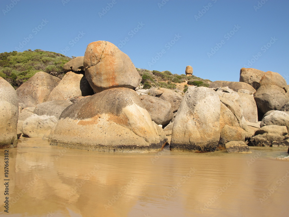 Beautiful Australian coast in Wilson Promontory National Park
Beautiful Australian coast in Wilson Promontory National Park