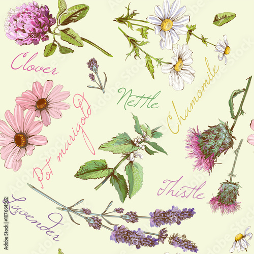Vector vintage seamless pattern with wild flowers and herbs. Background design for cosmetics, store, beauty salon, natural and organic products. Best for fabric, textile, wrapping paper.
