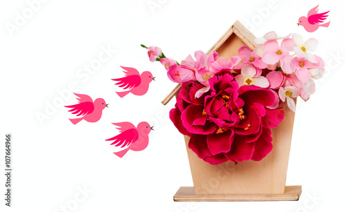 Colorful birds and birdhouses in spring
