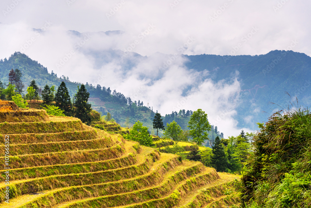 rice terraces landscape in may (village Dazhai, Guangxi province