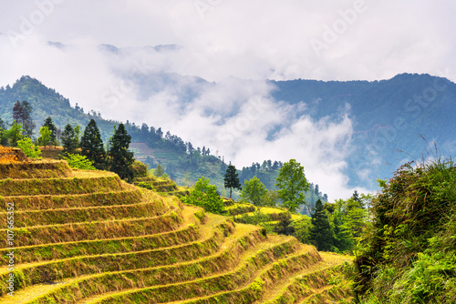 rice terraces landscape in may (village Dazhai, Guangxi province