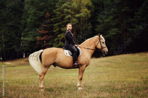 handsome groom sitting on brown horse in forest © SPY_studio