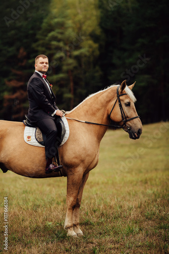 handsome groom sitting on brown horse in forest © SPY_studio
