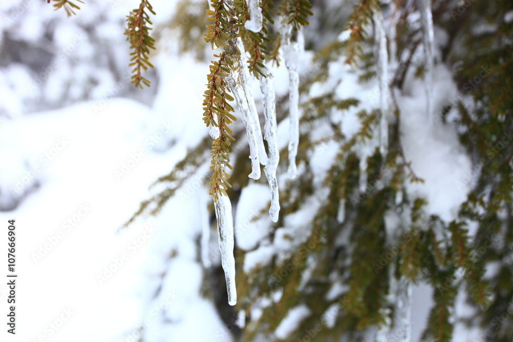 雪山のつらら 雪山のつらら