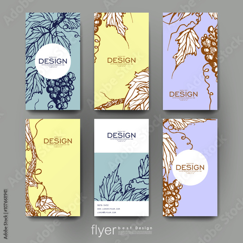 grapes ornament vector brochure template. Flyer Layout