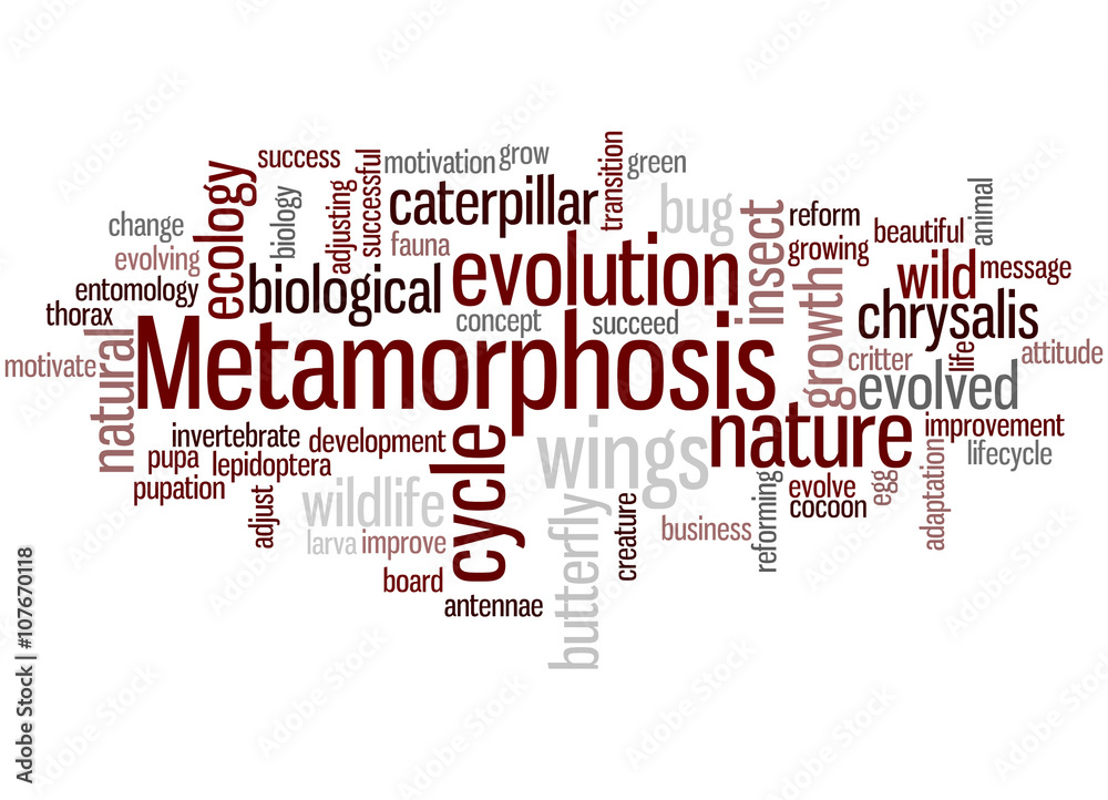 Metamorphosis, word cloud concept 7