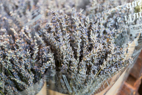 Bouquet of dried lavender with extreamly depth of field photo