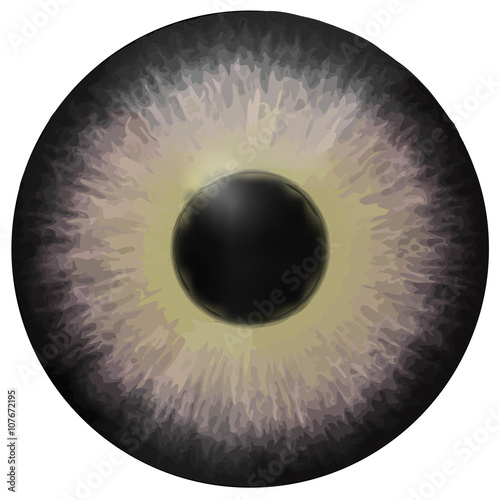 Eye iris vector texture