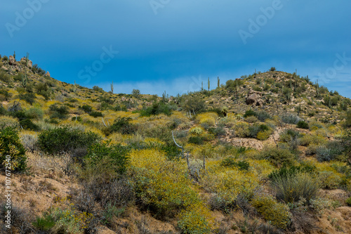 Hidden Treasures abound around Phoenix Arizona 