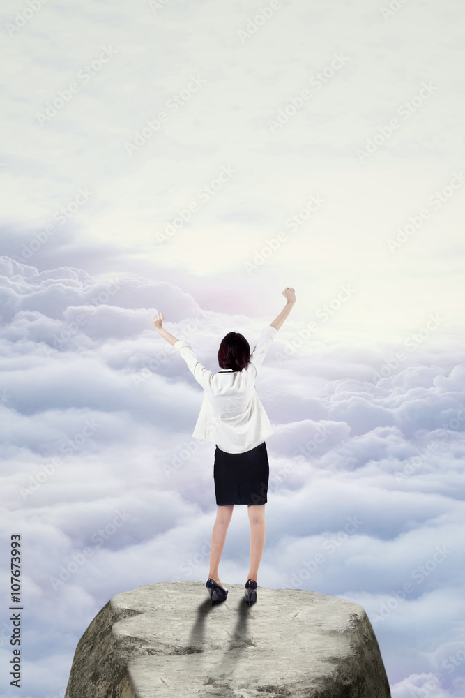 Businesswoman standing on the mountain peak
